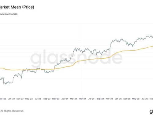 These Three Metrics Show BTC Found Strong Support Near $80,000