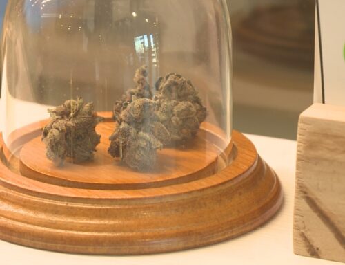 Cannabis businesses watch closely amid reinforced push to reclassify marijuana