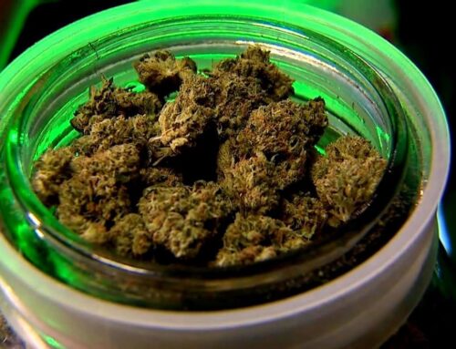 Federal Cannabis Policy Could See Historic Change