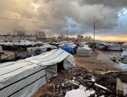Palestinians struggle to survive in devastated environment