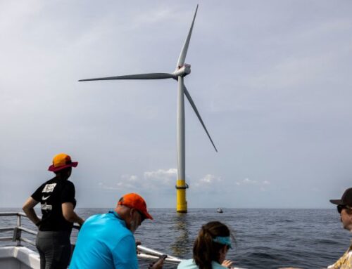 Trump suspends all large offshore wind farms under construction, threatening thousands of