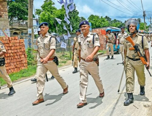 Man held, cannabis plants seized from his farm in Gujarat: Police