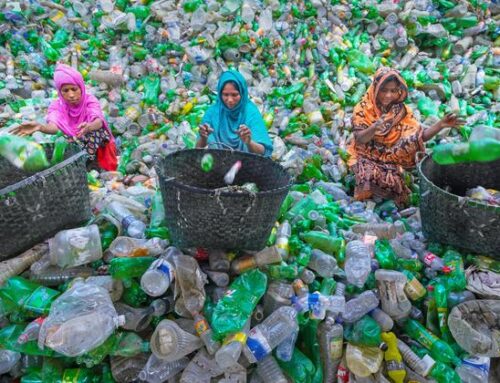 A sustainable future requires new thinking: UN environment report