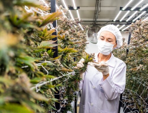 NewLake Capital Partners: The Best Way To Participate In Cannabis Rescheduling (NLCP)