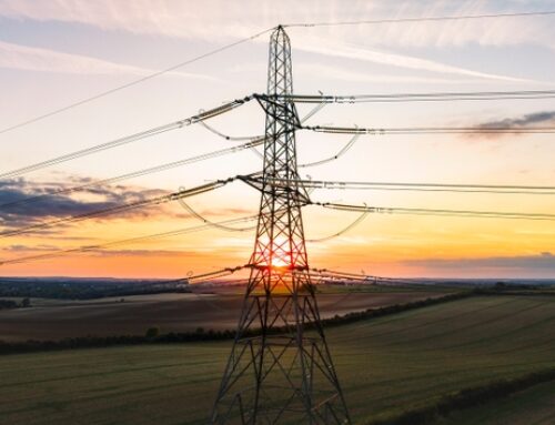 The best performing utilities stocks YTD: Oklo, Enlight Renewable Energy, and more