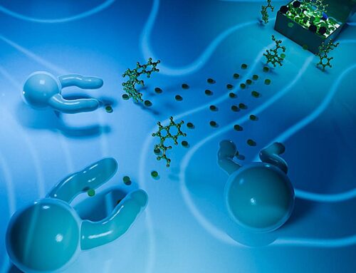 Like living cells, oil-in-water droplets form ‘arms’ in response to their environment