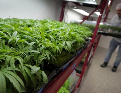 Marijuana rescheduling would bring some immediate changes, but others will take time