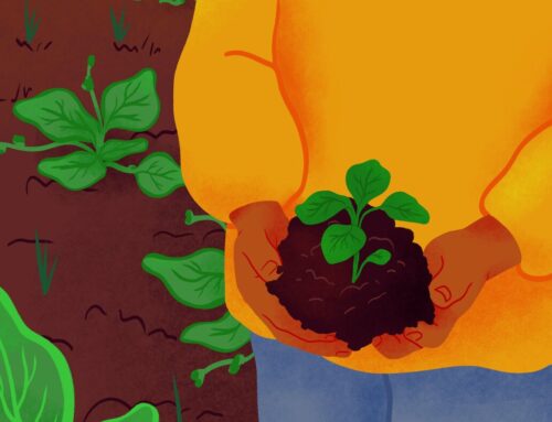 Curious about investing? Here’s what to know : Life Kit