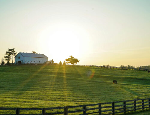 New study finds Kentucky laws are hindering cleaner, cheaper energy buildout
