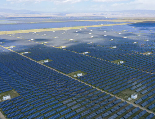 China’s Largest Solar Farm Is Doing A Lot More Than Generating Energy