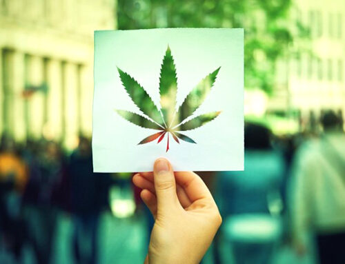 Now Is the Time to Double Down on Cannabis Activism Now Is the Time to Double Down on Cann
