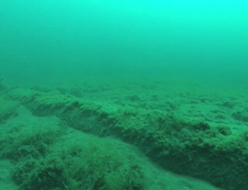 Federal Judge Line 5 ruling: Environmental groups concerned for lake health