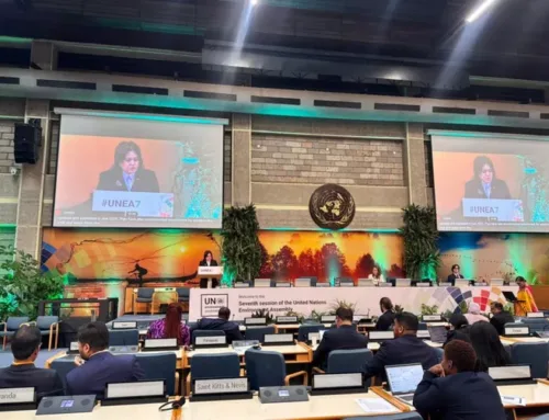 Azerbaijan Presents National Statement at UN Environment Assembly
