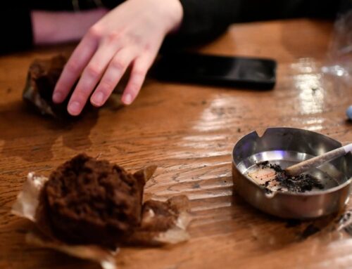 Cannabis cafes get the green light in Massachusetts after vote to allow “social consumptio