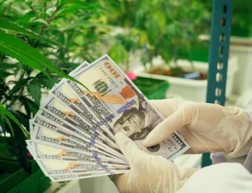 What cannabis investors can expect in 2026 after marijuana rescheduling