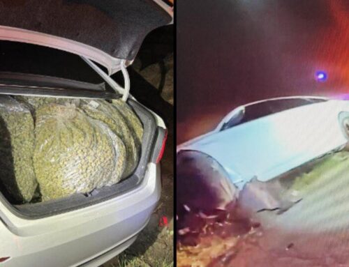 Cannabis heist in California’s Monterey County busted by deputies; 9 arrested