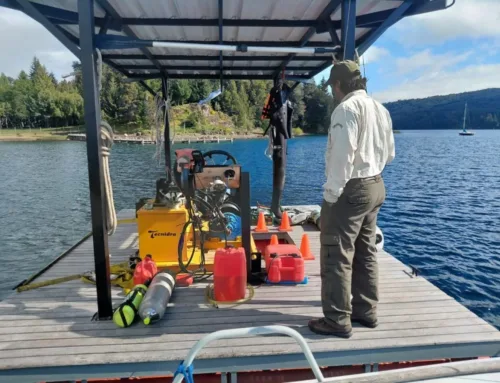 Nahuel Huapi National Park strengthens environmental control and advances in the removal o