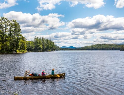 How 2022 Environmental Bond Act money is being used in the North Country