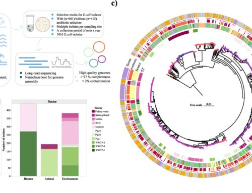 Novel tracking method reveals spread of antibiotic resistance across Hong Kong’s environme