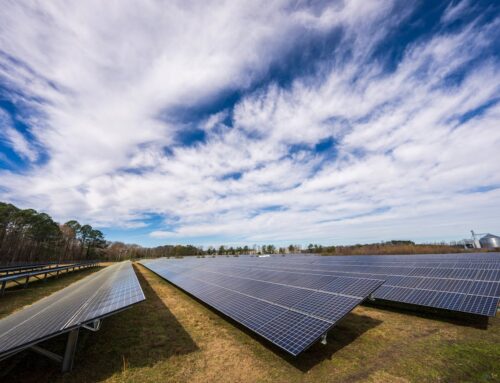Enabling synergies between solar PV projects and the local environment