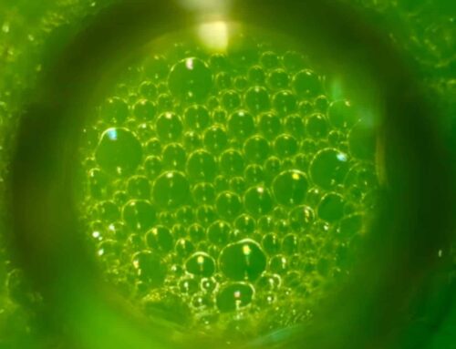 Between American oil and Russian gas lies Europe — Flood of millions approved to fund alte