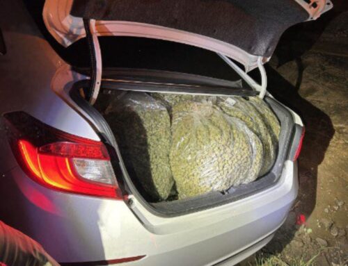 Salinas: 9 Arrested After In-Progress Burglary Of Cannabis Grow Is Busted By Cops