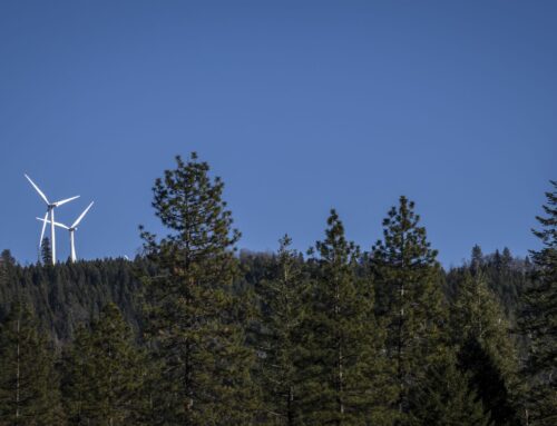Major California wind-energy project shot down by state