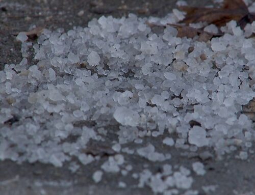 Oversalting is bad for the environment: What’s the right amount for sidewalks and driveway