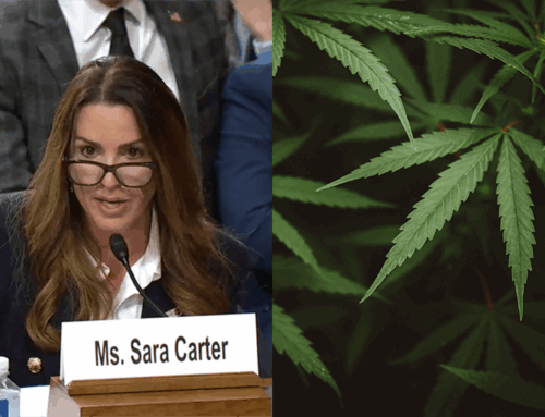 Senate Moves on Trump’s Drug Czar Nomination, a Potential ‘Event’ Tied to Rescheduling