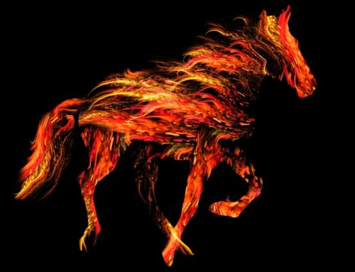 The Week in Impact Investing: Looking ahead to 2026