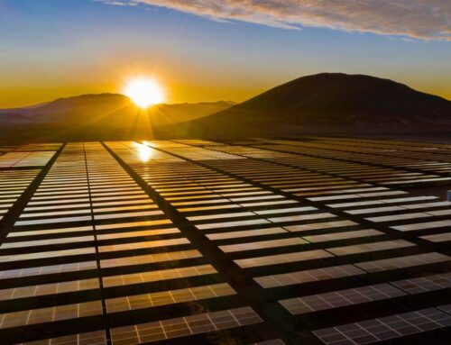 They thought they were just producing energy… but the solar panels awakened the desert – F