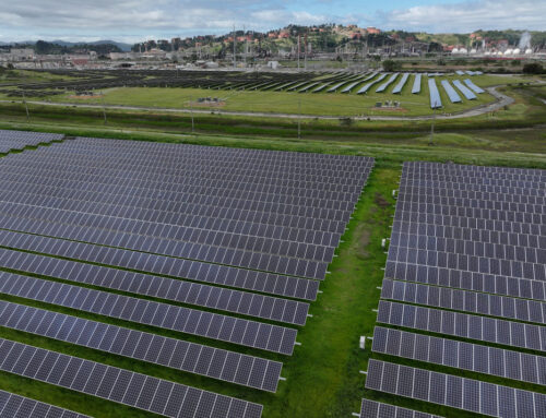 NC solar sector at crossroads after federal funding cuts