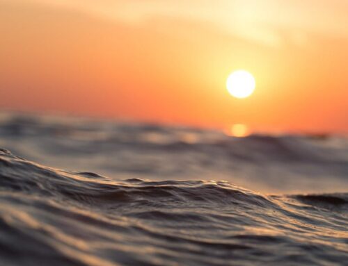 European Commission launches consultation to revise marine environment rules as it admits