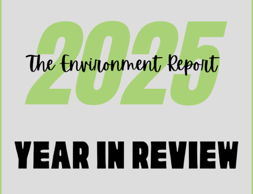 2025 Year in Review: The best of the Environment Report