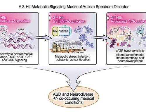 ‘Three-hit model’ involving genes and environment describes possible causes of autism