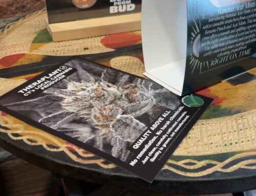 Connecticut cannabis industry members weigh in on possible federal reclassification