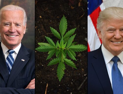 Newly Revealed Biden Marijuana Guidance Rescinded By Trump DOJ Ordered Prosecutors To Seek
