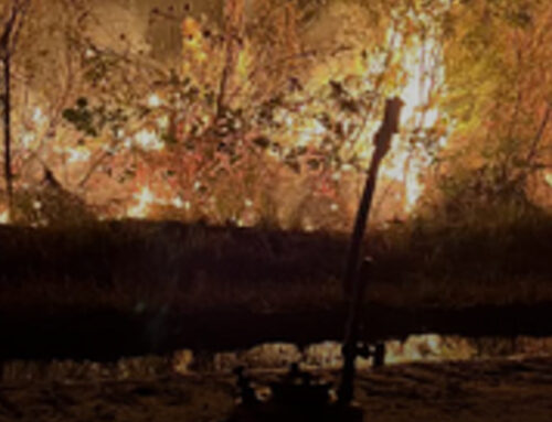 Under Secretary for Natural Resources and Environment Departs USDA, Joining Idaho As Their