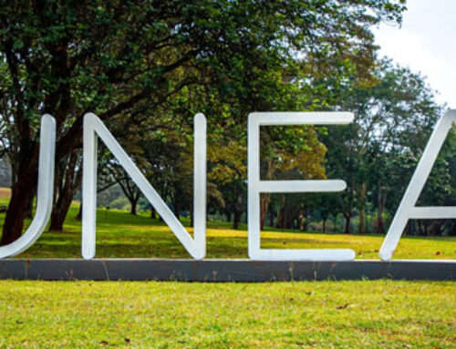 Why the UN Environment Assembly is Essential to a Safer, More Resilient Planet