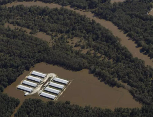 New report finds NC Department of Environmental Quality ‘ill-positioned’ to face climate a