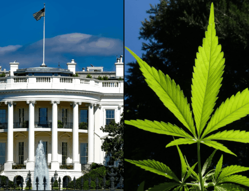 White House Confirms Trump Will ‘Address Marijuana Rescheduling’ Thursday, But Reported De