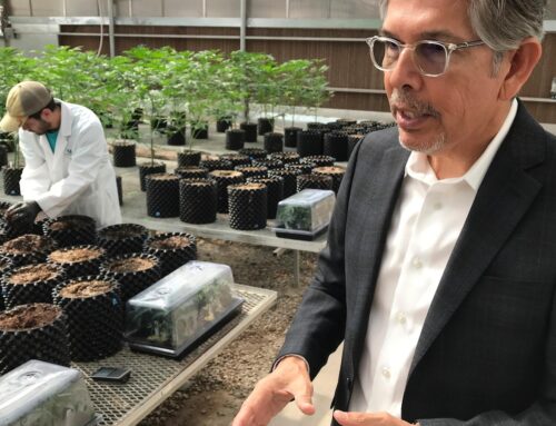 Cannabis entrepreneur Duke Rodriguez joins the race for New Mexico governor