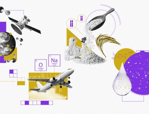 Environment breakthroughs of 2025