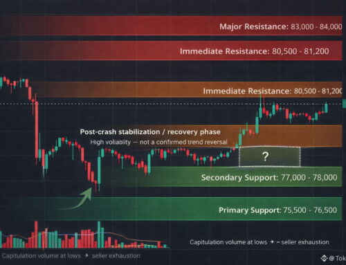 Opinions de Token Talks(@AshirMalik)