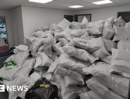 Two charged over £24m Bolton cannabis haul