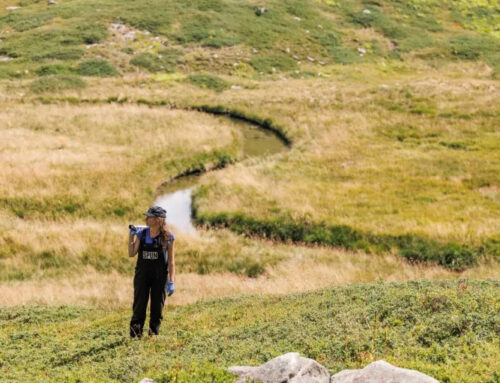 Scientist wins ‘Environment Nobel’ for shedding light on hidden fungal networks