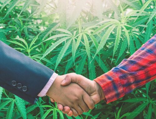 Canix Acquires Trym As Cannabis Industry Consolidation Continues