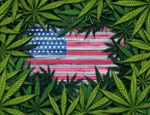Where Is Cannabis Legal? A Guide To All 50 States