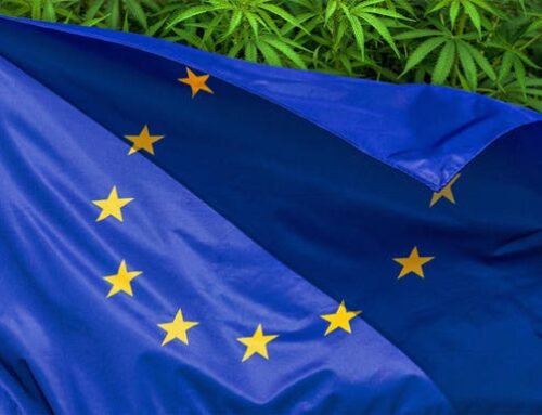 Where Is Cannabis Legal In Europe?
