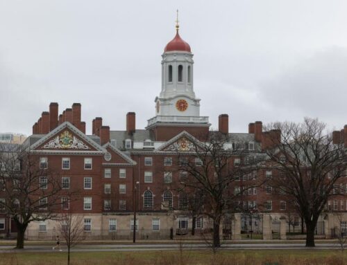 AI, Bubbles, The Psychology Of Markets And What Harvard Is Teaching Leaders About Investin